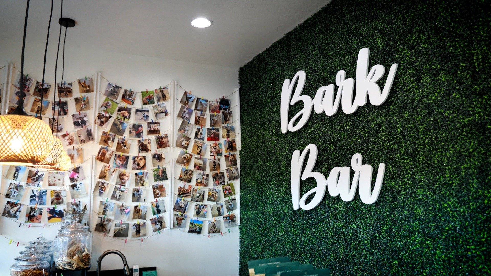 Aloha Paws Bark Bar