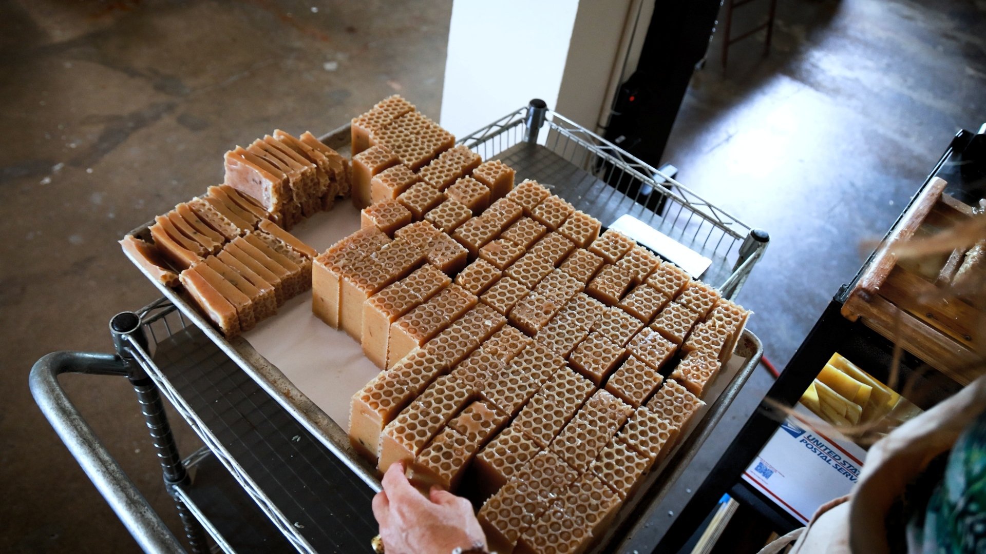 The Indigenous Soup Company