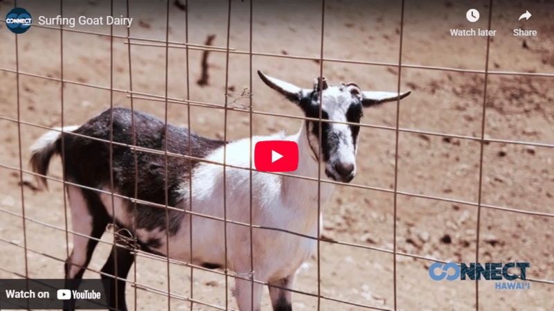 Screenshot 2026-02-12 103040