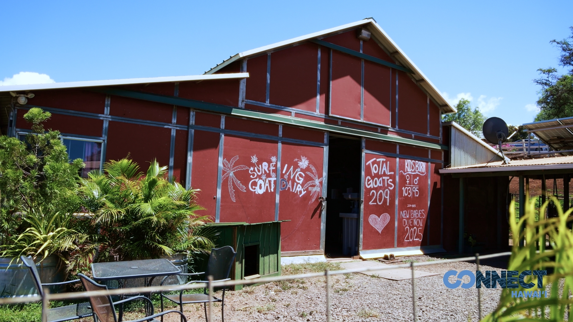 Surfing Goat Dairy Screengrab1