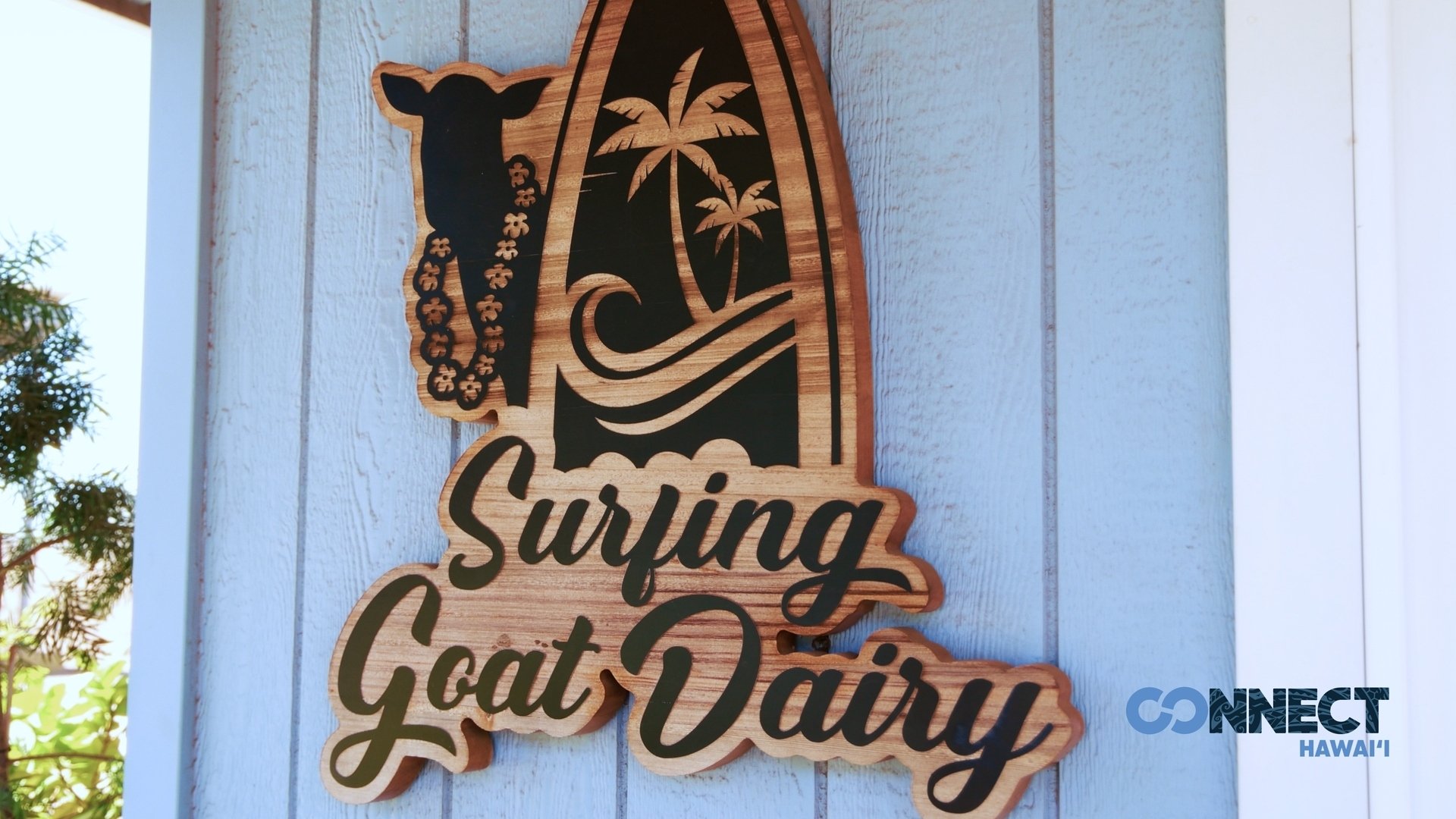 Surfing Goat Dairy Screengrab2